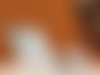 Does your dog have some of the following food related symptoms?